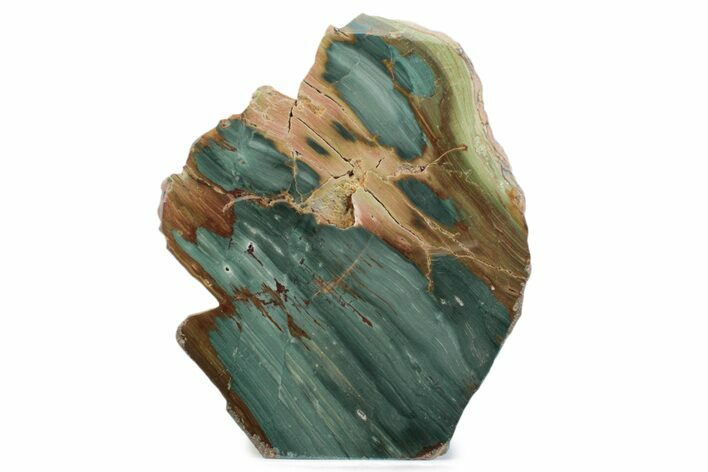Freestanding Gary Green Jasper (Larsonite) Bog Wood - Oregon #377818